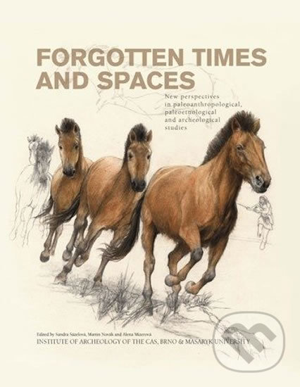 Levně Forgotten Times and Spaces (New perspectives in paleoanthropological, paleoetnological and archeological studies) - kniha z kategorie Vysoké školy