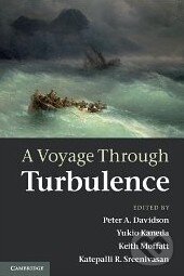 Kniha A Voyage Through Turbulence