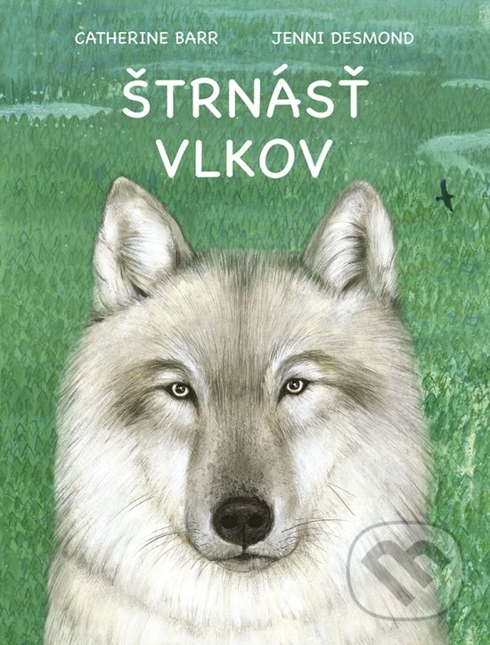 Levně Štrnásť vlkov - Catherine Barr, Jenni Desmond (ilustrátor) - kniha z kategorie Rozprávky