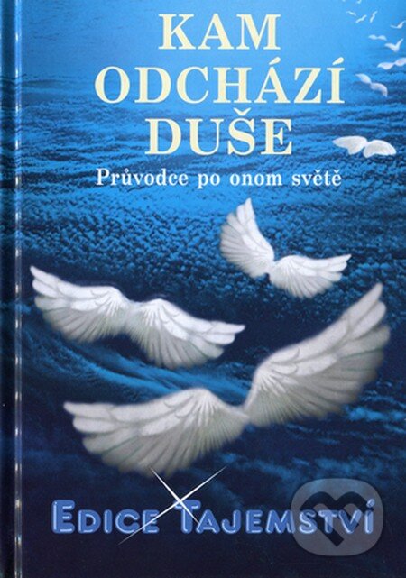 Levně Kam odchází duše? (Průvodce po onom světě) - Gabriel Looser - kniha z kategorie Záhady a paranormálne javy