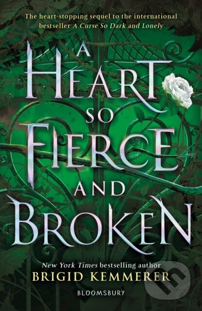 E-kniha: A Heart So Fierce and Broken (Brigid Kemmerer). Bloomsbury, 2020