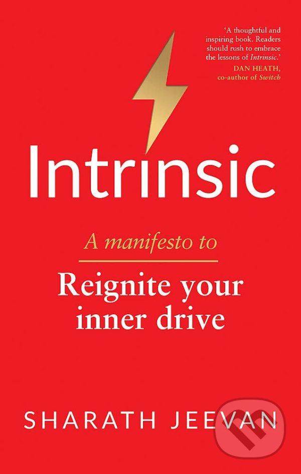 Levně Intrinsic (A Manifesto to Reignite Your Inner Drive) - kniha z kategorie Motivácia a sebarozvoj