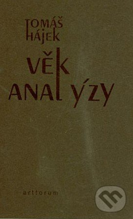 Věk analýzy - Tomáš Hájek, Artforum, 1999