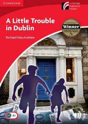 Kniha Little Trouble in Dublin