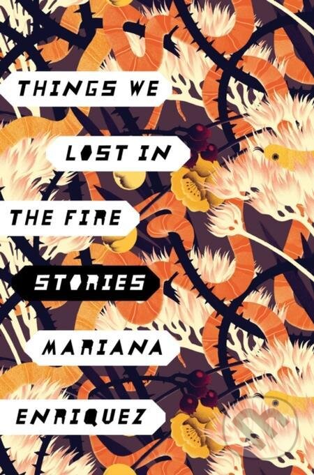 E-kniha: Things We Lost in the Fire (Mariana Enríquez). Random House, 2017