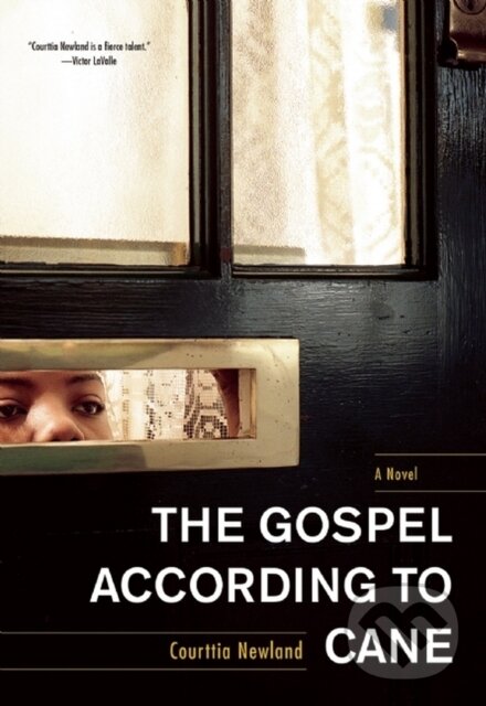 E-kniha: The Gospel According to Cane (Courttia Newland). Akashic Books, 2013