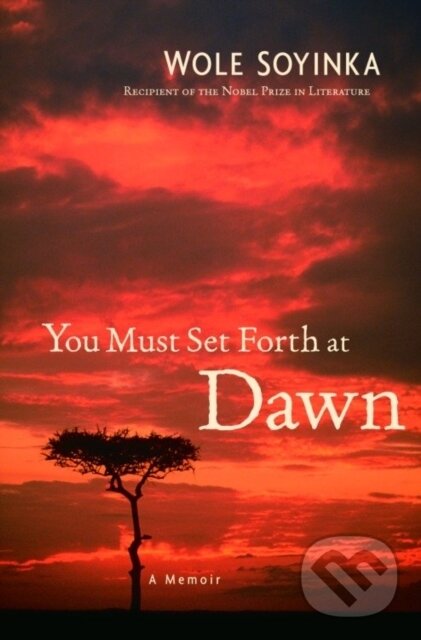 E-kniha: You Must Set Forth at Dawn (Wole Soyinka)