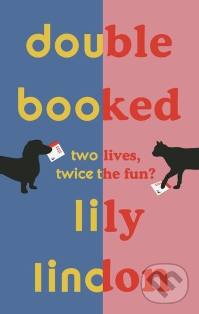 Levně Double Booked - Lily Lindon - kniha z kategorie Beletria