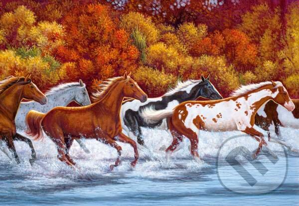 Levně Splashes of colours - puzzle z kategorie Zvieratá