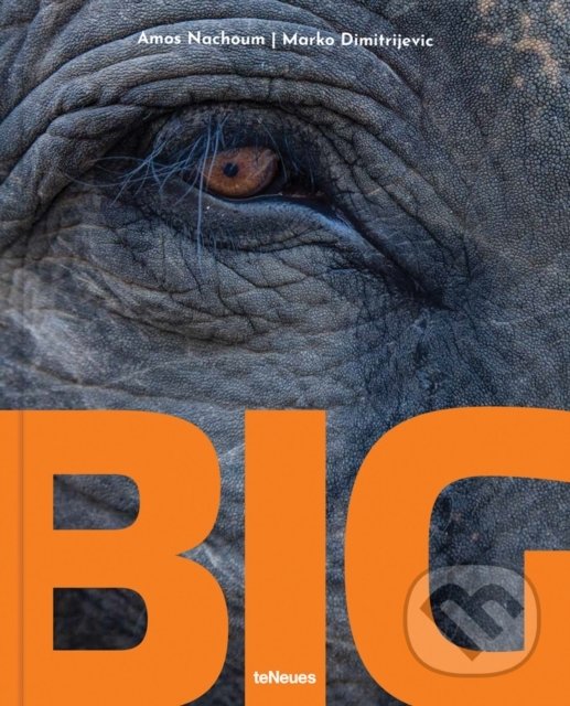 Levně Big (A Photographic Album of the World's Largest Animals) - kniha z kategorie Fotografie