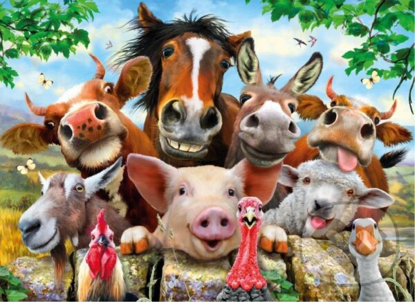Levně Život na farmě 2v1, dřevěné - puzzle z kategorie Zvieratá