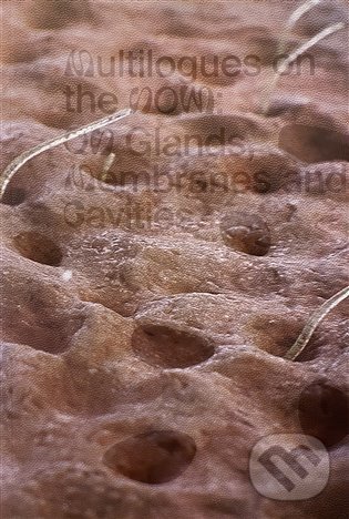 Levně Multilogues on the Now: On Glands, Membranes and Cavities - kniha z kategorie Humanitné a spoločenské vedy