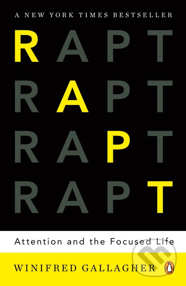 Kniha Rapt