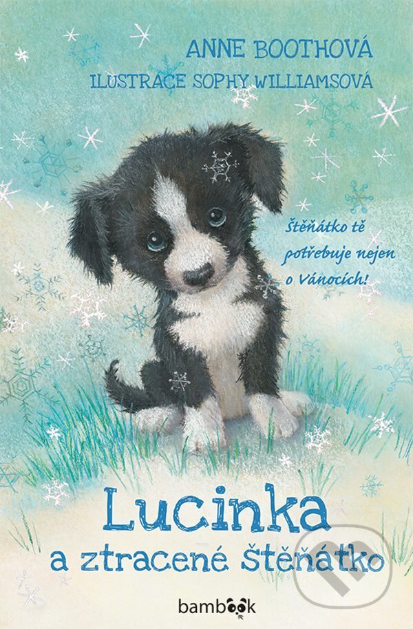 E-kniha: Lucinka a ztracené štěňátko (Anne Booth)