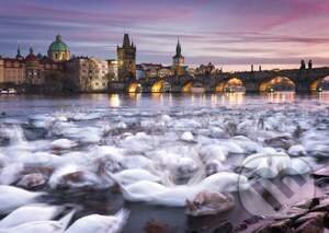 Levně Prague, Swans - puzzle z kategorie Mestá a stavby