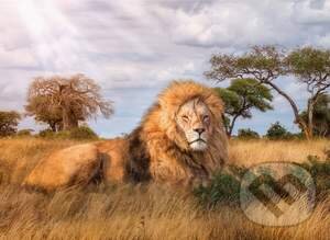 Puzzle: The King (Clementoni)