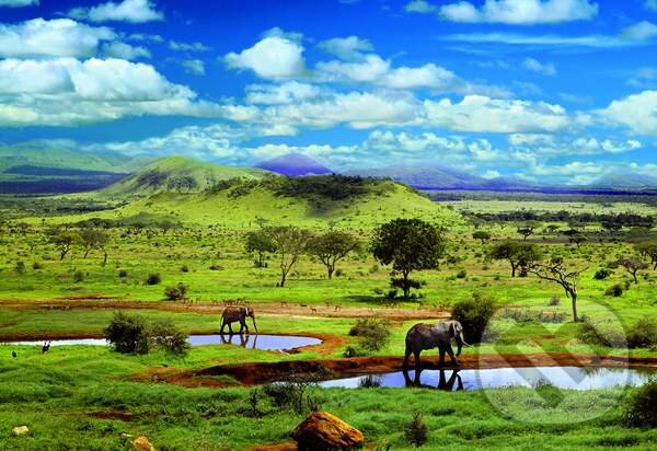 Levně Tsavo National Parc, Kenya - puzzle z kategorie Zvieratá