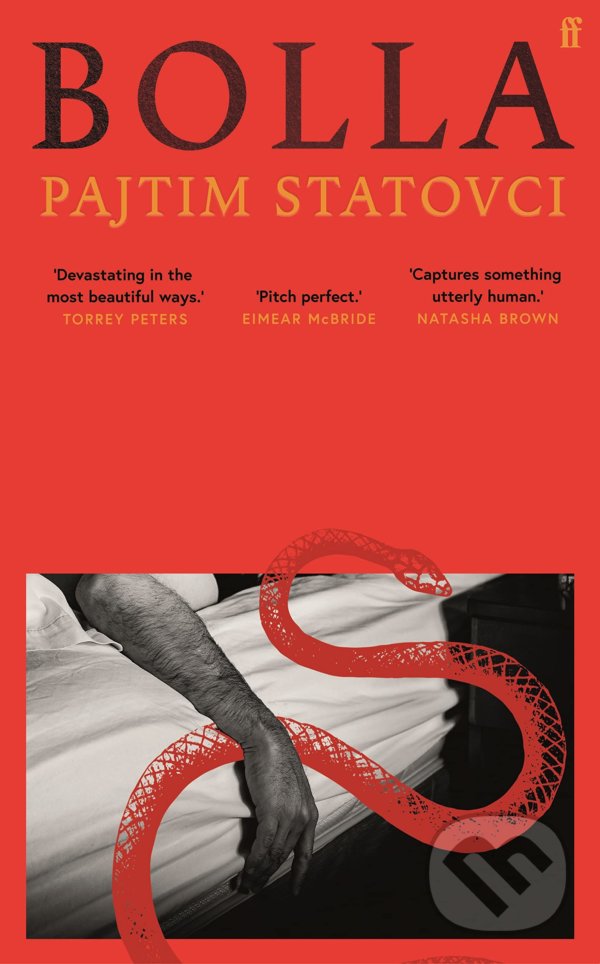 Kniha: Bolla (Pajtim Statovci). Faber and Faber, 2022
