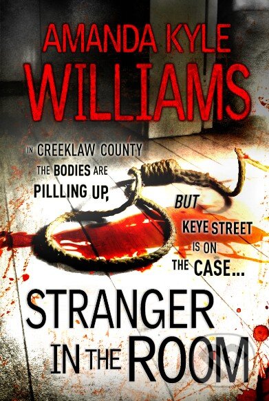 Levně Stranger in the Room - Amanda Kyle Williams - kniha z kategorie Beletria
