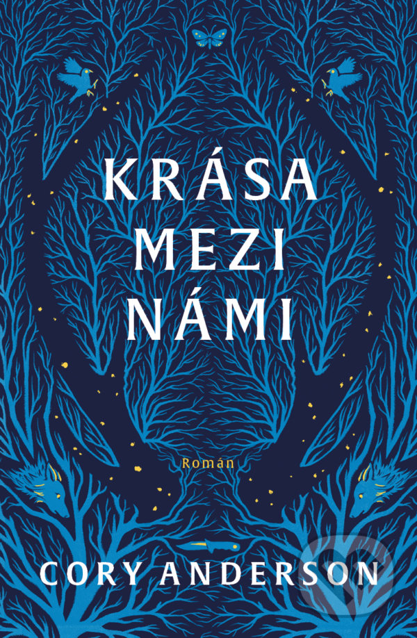 Levně Krása mezi námi - Cory Anderson - kniha z kategorie Beletria