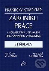 Levně Praktický komentář zákoníku práce a souvisejících ustanovení občanského zákoníku s příklady - kniha z kategorie Pracovné právo
