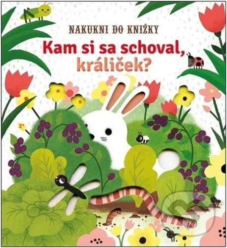 Kniha Kam si sa schoval, králiček?