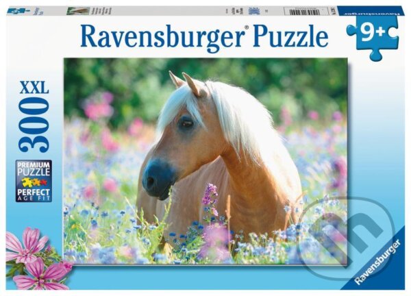 Levně Kůň - puzzle z kategorie 3D puzzle