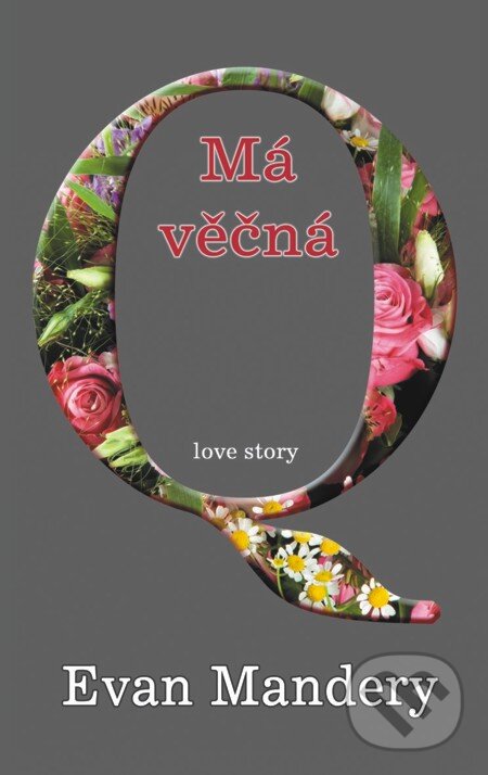 E-kniha: Má věčná Q (Evan Mandery). Baronet, 2012