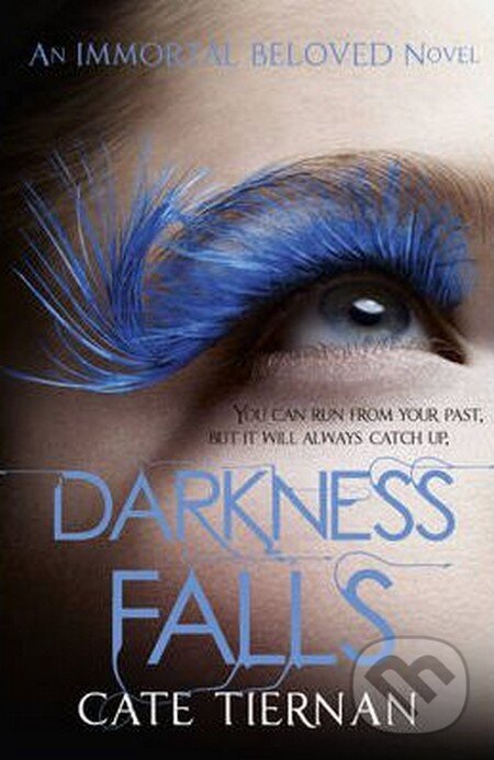 Levně Darkness Falls - Cate Tiernan - kniha z kategorie Fantasy