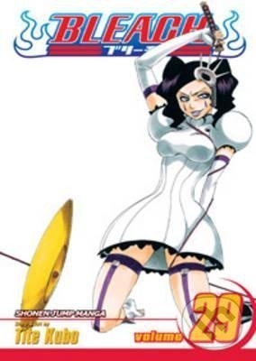 Kniha Bleach 29