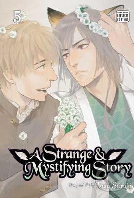 Kniha A Strange and Mystifying Story 5