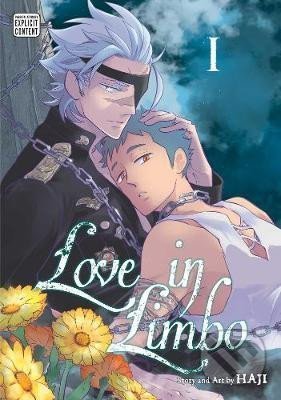 Kniha Love In Limbo 1