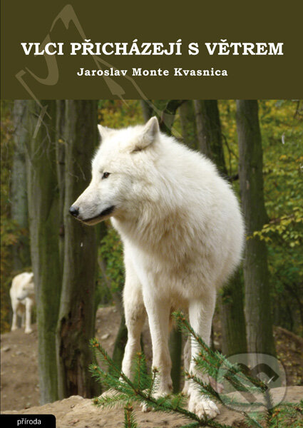 Vlci přicházejí s větrem - Jaroslav Monte Kvasnica, Élysion, 2013
