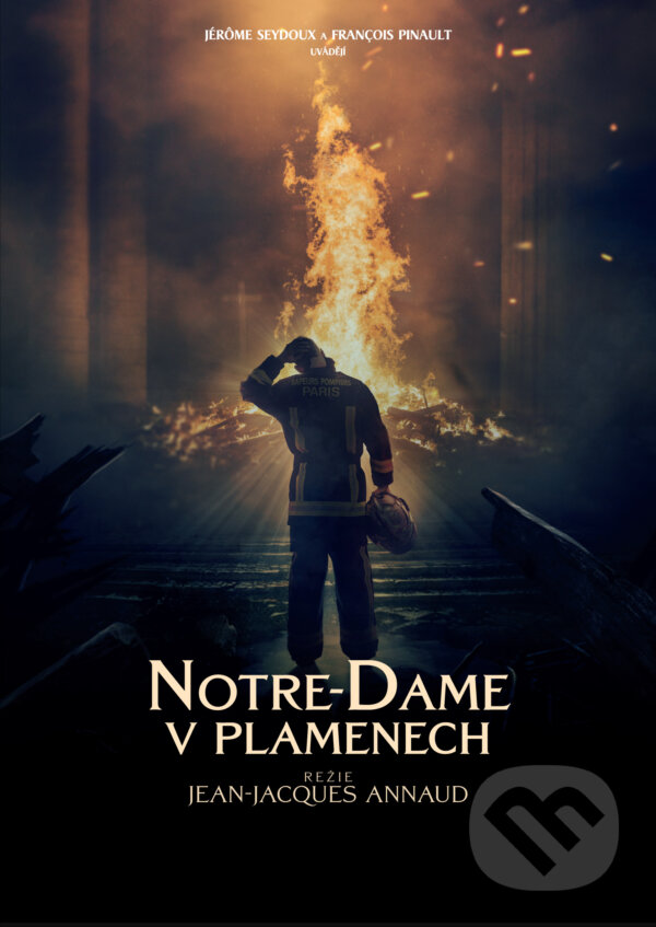 Levně Notre-Dame v plamenech - Jean-Jacques Annaud - film z kategorie Klasické drámy
