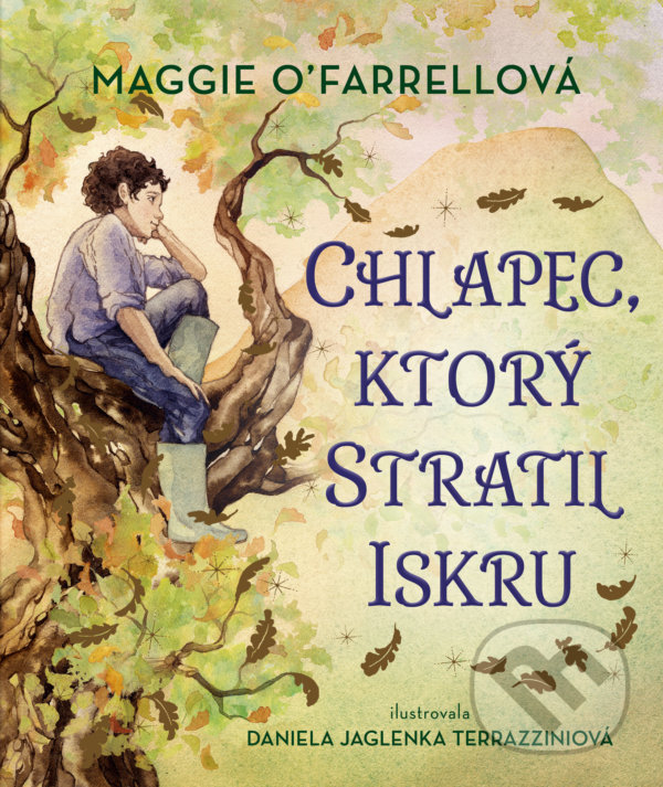 Levně Chlapec, ktorý stratil iskru - Maggie O'Farrell, Daniela Jaglenka Terrazzini (ilustrátor) - kniha z kategorie Rozprávky