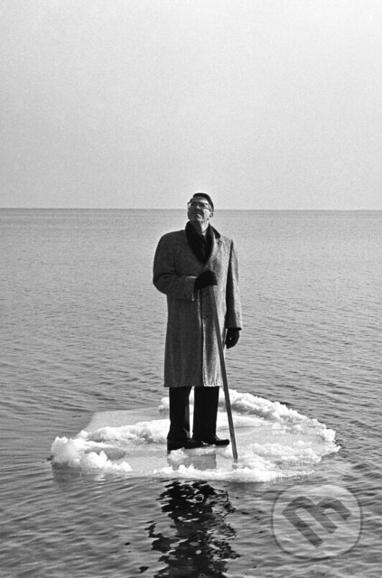 Levně seventy thirty - Steve Schapiro, Theophilus Donoghue - kniha z kategorie Fotografie