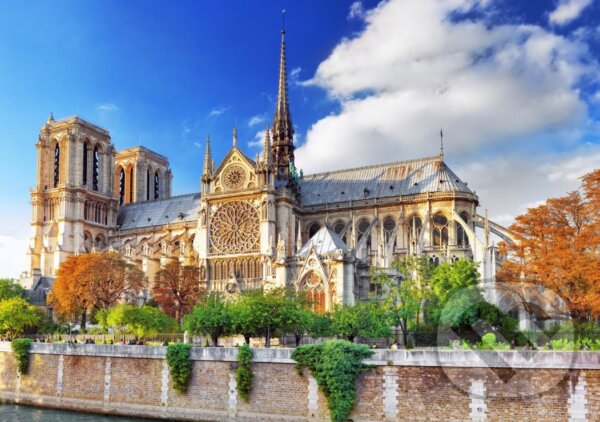 Puzzle: Cathédrale Notre-Dame de Paris (Bluebird). Bluebird, 2022