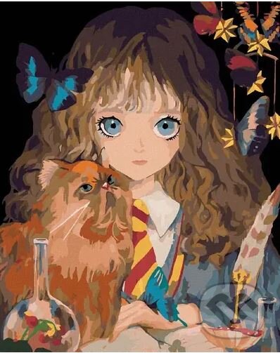 Levně Malování podle čísel: Harry Potter - Hermiona a Křivonožka