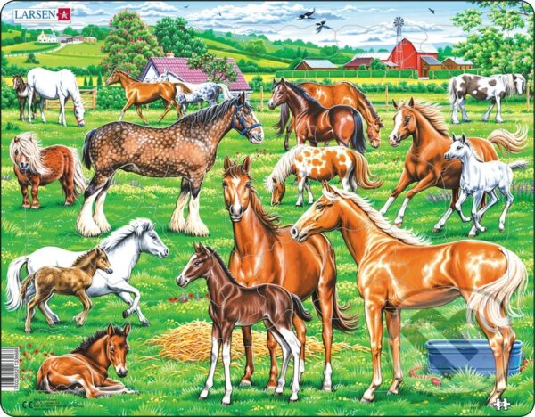 Levně Kone - rôzne druhy (FH50) (Beautiful horses of different breeds, colours and sizes) - puzzle z kategorie Náučné puzzle