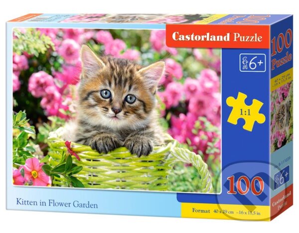 Kitten in Flower Garden, Castorland, 2022