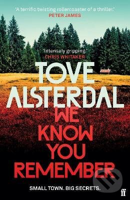 Levně We Know You Remember - Tove Alsterdal - kniha z kategorie Thrillery