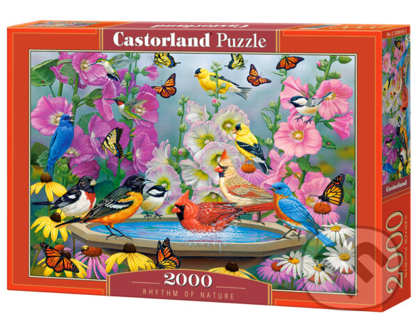 Puzzle: Rhythm of nature (Castorland). Castorland, 2022