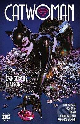 Kniha Catwoman Vol. 1: Dangerous Liaisons