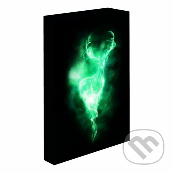 Levně Harry Potter obraz LED svietiaci 30x40 cm - Patron