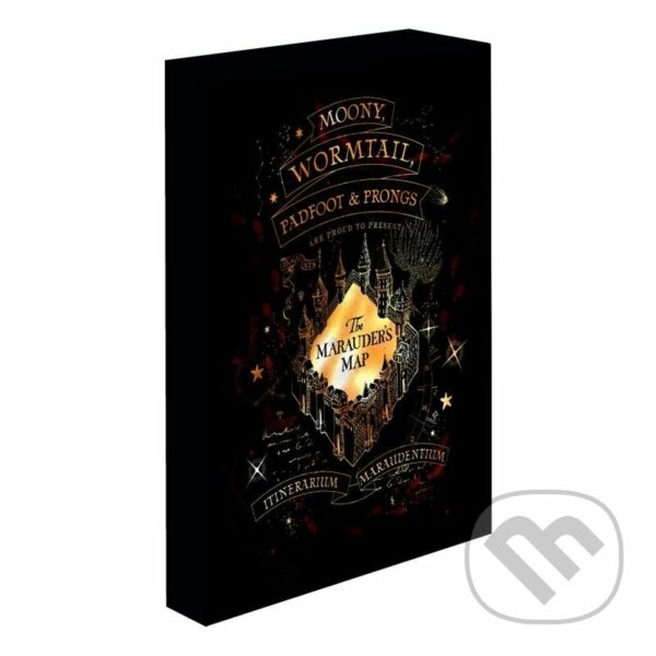 Levně Harry Potter obraz LED svietiaci 30x40 cm - Záškodnícka mapa