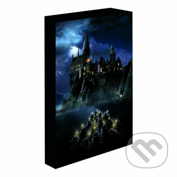 Levně Harry Potter obraz LED svietiaci 30x40 cm - Bradavice