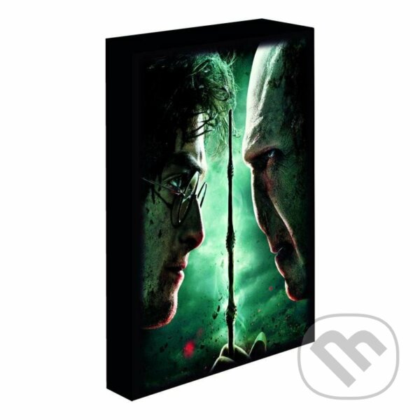 Obraz LED svítící 30x40, Harry potter - Harry vs. Voldemort