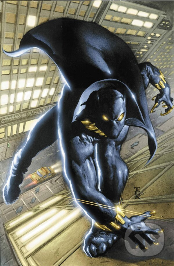 Levně Black Panther Omnibus 1 - Christopher Priest, Mark Texeira (ilustrátor), Vince Evans (ilustrátor), Joe Jusko (ilustrátor), Mike Manley (ilustrátor) -…