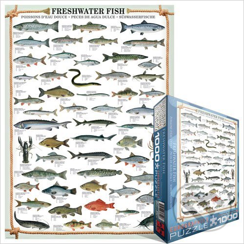Puzzle: Sladkovodní ryby (EuroGraphics). EuroGraphics, 2014