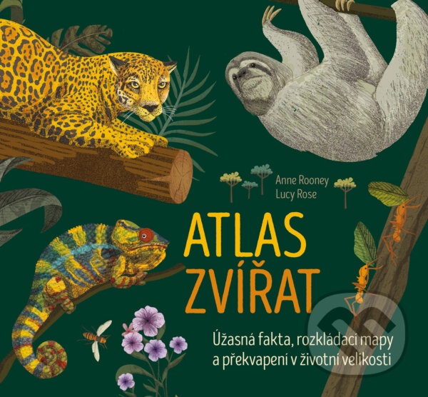 Atlas zvířat - Anne Rooney, Lucy Rose (ilustrátor), Drobek, 2023